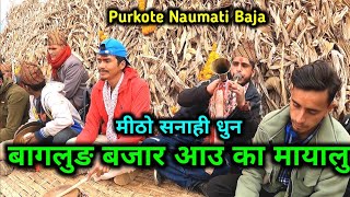 Baglung Bazar Aau Ka Mayalu | Chhoddeu Kura Gauka Mayalu | Purkote Naumati Baja