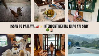 Isaan Back to Pattaya with a Luxe Stop at Intercontinental Khao Yai 🚗💼🌳