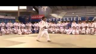 YOSHIYUKI HIRANO - SEOI NAGE, TANDOKU RENSHU