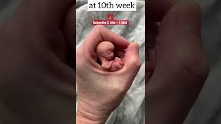 Embryo and Fetal Development in Mother's Womb ❤️ jabardasth latest episode  #shorts #viral #tiktok