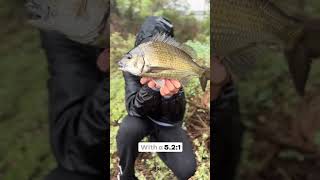 Fishking Spinning Reel: The Ultimate Choice for Every Angler🇺🇸✅#fishing #fishingvideo