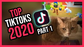 My Top TikToks of 2020 - Part 1