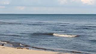 The beach Lake Erie Rondeau Provincial  Park.