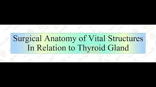 Surgical Anatomy of Thyroid Gland