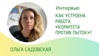 Ольга Садовская: Как устроена работа «Комитета против пыток»?