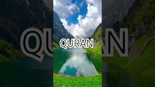 Surah Anfal Ayat No 48-51 urdu translation#shorts#reels #islamic#video