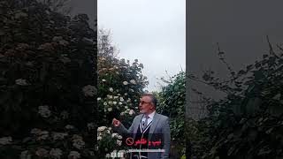 اگر مرد دوست داشتنی هستی