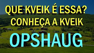 CONHEÇA A KVEIK OPSHAUG (PERFIL E ORIGEM) - Que Kveik é Essa? #04