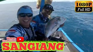 Mancing ikan babon spot sangiang