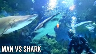 Man VS Shark | Aquaria KLCC | Malaysia