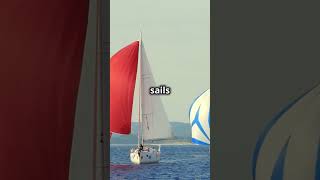 Is 1 Hour Too Long for the First Mark in a Sailboat Race? #sailing #boat #shorts