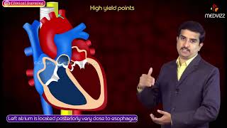 Shock, Pathology of Different Types, Animation