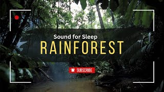 Rainforest sound for sleep