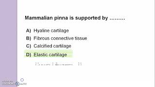 MCQs on Skeletal system