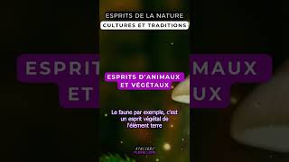 Esprit de la nature : y croyez-vous ?