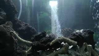 Air Terjun di Aquarium | Begini Membuatnya