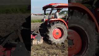 may cay kubota | XEM CẢNH MÁY CÀY KUBOTA 5018 #Short #Shosts @locnhitv #kubota #tractor #maycay