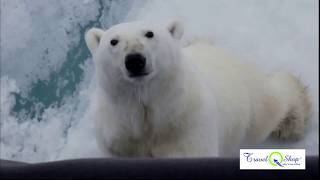 Franz Josef Land Arctic Ocean, Russia