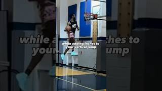 JUMP ABILITY PROGRAM IS AVAILABLE ON THE ATG APP #ibcourt #shorts