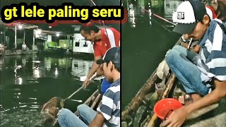 Galatama lele paling seru || tukang serok di gasak abis pokoknya