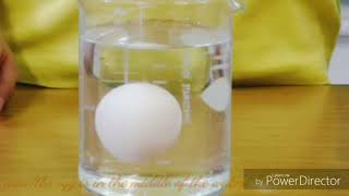 6 5 Floating egg 20June