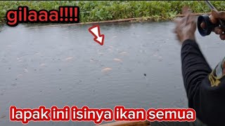 gilaaa!!!spot ini hampir dipenuhi ikan semua.