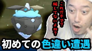 ポケモン人生縛り中に初めて色違いに遭遇する布団ちゃん　2024/08/21