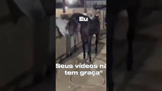 "seus vídeos não são engraçados#animal #humor #humour #memes #memesvideo #engraçados #viral #comedia