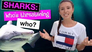 Sharks: Who's threatening who? 🦈🤷‍♀️