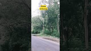 melintasi hutan penuh misteri #hutan #hutanangker #misteri #viral