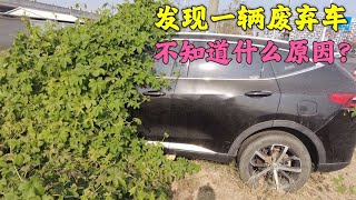 上海发现一辆哈弗汽车，停在路边好多年了，不知道什么原因