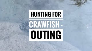 Hunting Crawfish - An outing