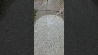 Penetrating Siloxane Sealer on Concrete