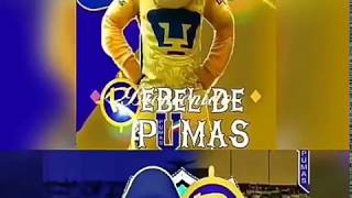 CUMBIA DE LOS TRAPOS (PUMAS REBEL)