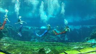 For the First Time Ever, Mermaids Visit the South Carolina Aquarium