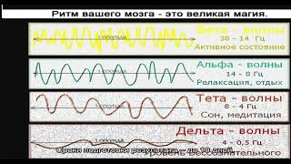 Анализ крови на альфа-1-трипсин