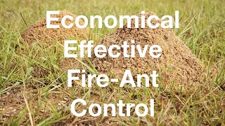 Economical Effective Fire Ant Control YouTube Video