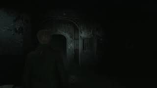 Silent Hill 2 Remake Bug After Patch