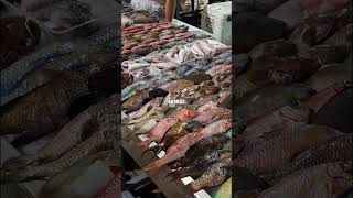 Fish Papeete Market #viralvideo  #shorts  #tahiti  #market  #food  #fish