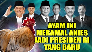 AYAM INI MERAMAL ANIES JADI PRESIDEN RI YANG BARU! | OPLOSAN 99|