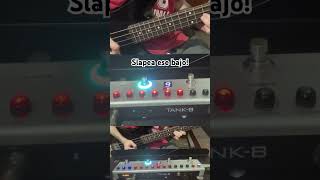 Slap bass con Tank B m-vave! Slapity slap! #bass #music #bassguitar