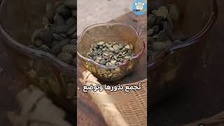 فاكهة مخادعة ورائحتها غريبة... هل تجرؤ على تجربتها؟ 🌟 حقائق | غريب | مثير