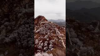 Great Wall of China in bloom #greatwallofchina #spring #blossom #beijing #chinatravel #djimini4pro