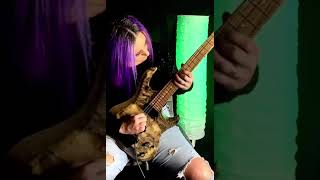 Guitar Solo Improv - Kiesel Osiris Guitar