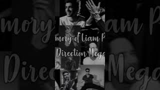 In Memory of Liam Payne (One Direction Megamix) | Tribute Mashup