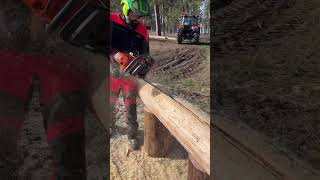 V-Schnitt mit der Husqvarna 572 XPG #chainsaw #wood #blockbauheld #woodworking #shorts