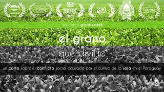 El grano que divide | TRAILER | agroquímicos y soja transgénica en Paraguay