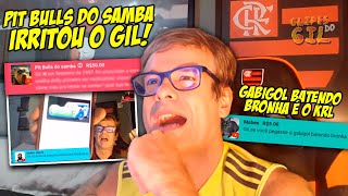 PIT BULLS DO SAMBA SURTOU O FERNANDO GIL! O CHAT DEIXOU ELE LOUCO!