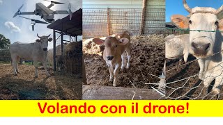 Volando con il drone!