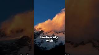 Mount Cook, South Island, New Zealand